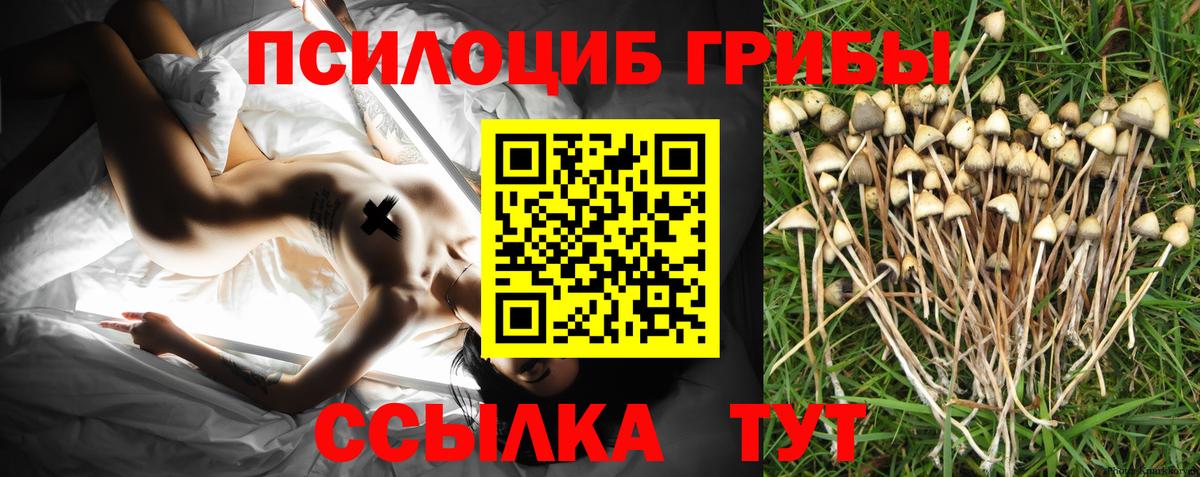 Галлюциногенные грибы ЛСД Саратов